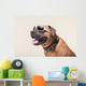 Bulldogge with Cool Shades Portrait Wall Decal
