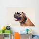 Bulldogge with Cool Shades Portrait Wall Decal