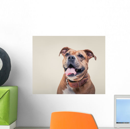 Smiling Bulldogge Portrait Wall Decal