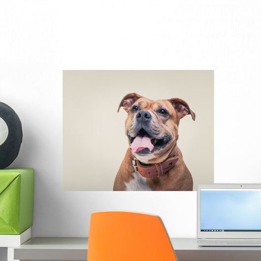 Smiling Bulldogge Portrait Wall Decal