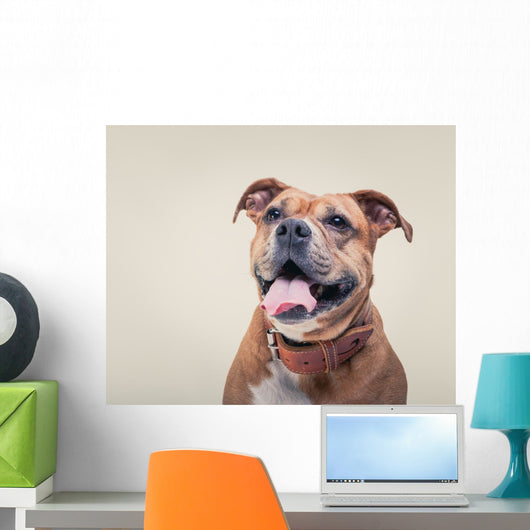 Smiling Bulldogge Portrait Wall Decal