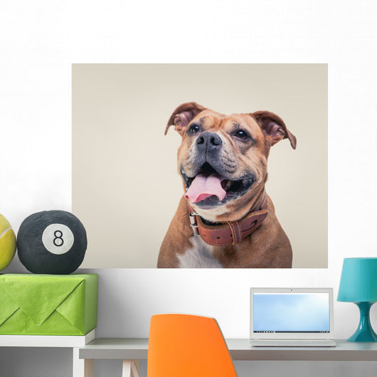 Smiling Bulldogge Portrait Wall Decal