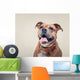 Smiling Bulldogge Portrait Wall Decal