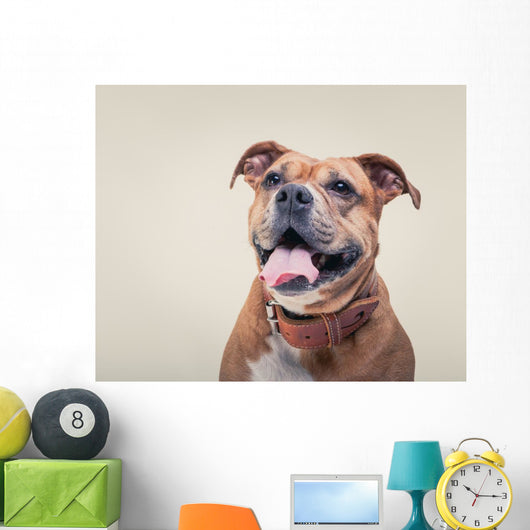 Smiling Bulldogge Portrait Wall Decal