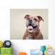 Smiling Bulldogge Portrait Wall Decal