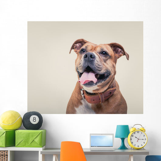 Smiling Bulldogge Portrait Wall Decal