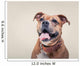 Smiling Bulldogge Portrait Wall Decal