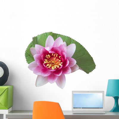 Pink Lotus Lily Flower Wall Decal shown on a wall