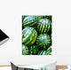 Watermelons Wall Decal