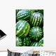 Watermelons Wall Decal