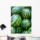 Watermelons Wall Decal
