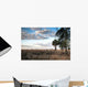 Over Savanna National Park Wall Decal