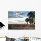 Over Savanna National Park Wall Decal