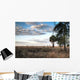 Over Savanna National Park Wall Decal