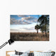 Over Savanna National Park Wall Decal