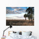 Over Savanna National Park Wall Decal