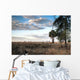 Over Savanna National Park Wall Decal