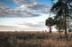 Over Savanna National Park Wall Decal