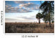 Over Savanna National Park Wall Decal