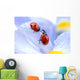 Flower Petal with Ladybug Wall Decal