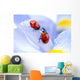 Flower Petal with Ladybug Wall Decal