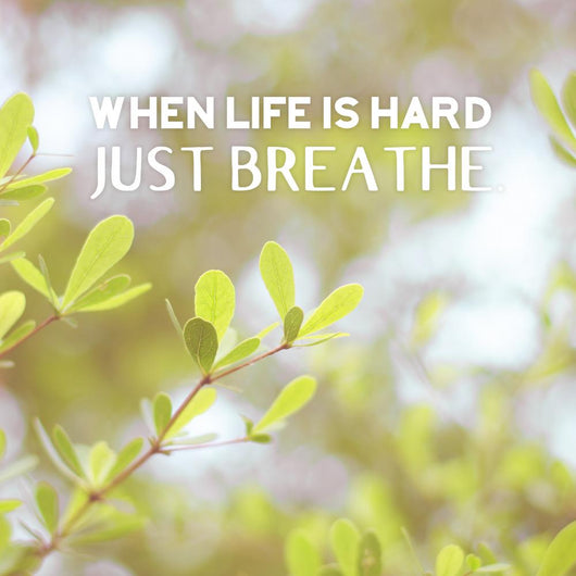 Inspiration Quote When Life Wall Decal