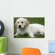 Golden Retriever Puppy Laying Down Wall Decal