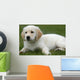 Golden Retriever Puppy Laying Down Wall Decal
