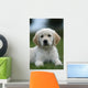 Golden Retriever Puppy Wall Decal