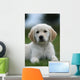 Golden Retriever Puppy Wall Decal