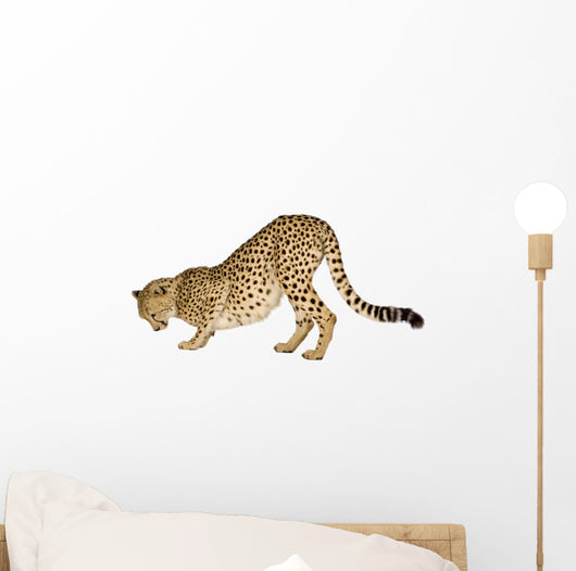 Cheetah Front White Wall Decal