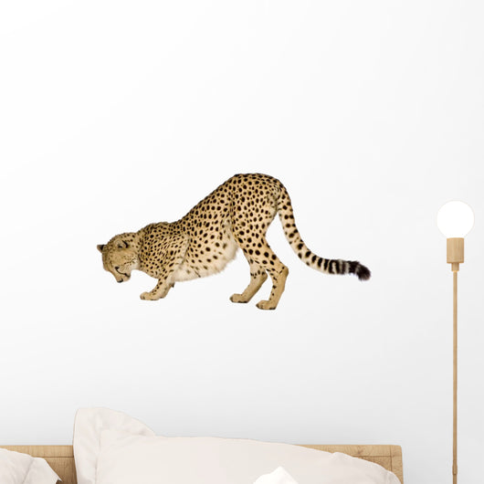 Cheetah Front White Wall Decal