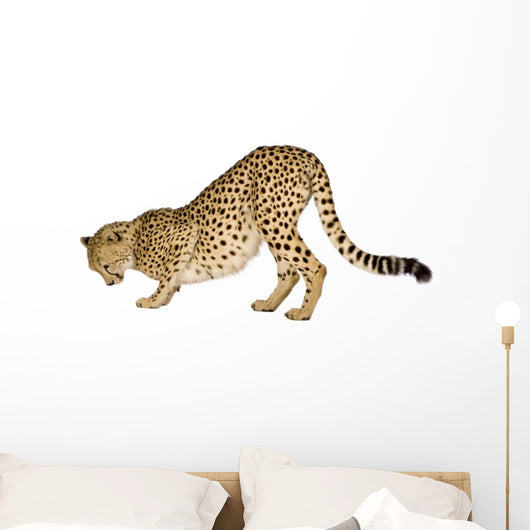 Cheetah Front White Wall Decal