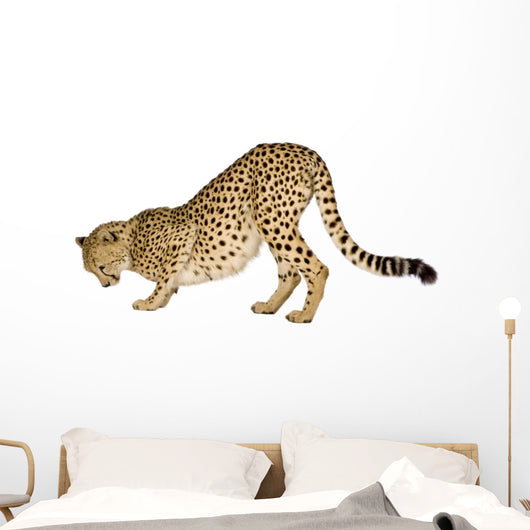Cheetah Front White Wall Decal