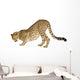 Cheetah Front White Wall Decal