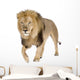 Walking Male Lion Wall Decal