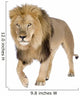Walking Male Lion Wall Decal