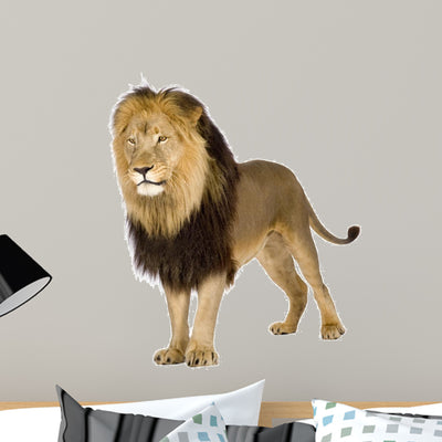 Lion Wall Decal shown on a wall