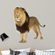 Lion Wall Decal