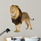 Lion Wall Decal