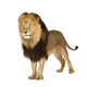Lion Wall Decal