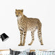 Standing Cheetah Wall Decal