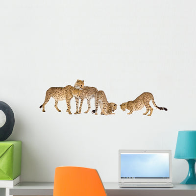 Group Five Cheetah Wall Decal shown on a wall