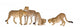 Group Five Cheetah Wall Decal