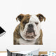 English Bulldog Wall Decal