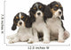 Cavalier King Charles Puppies Wall Decal