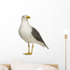 Herring Gull Wall Decal