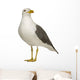 Herring Gull Wall Decal