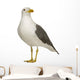 Herring Gull Wall Decal