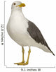 Herring Gull Wall Decal